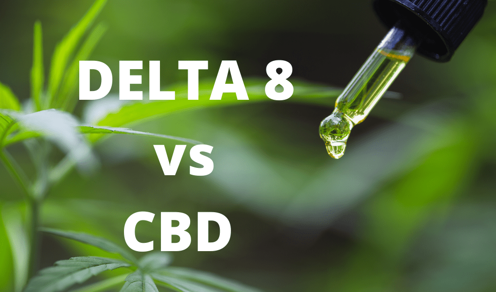 Delta 8 vs CBD