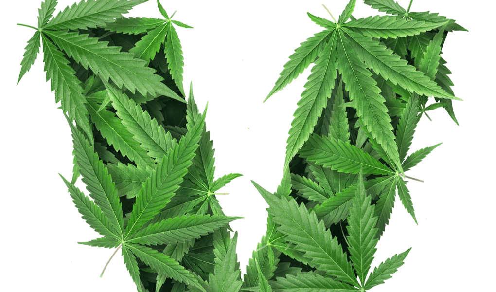 WHAT IS THCV_ BENEFITS EFFECTS OF TETRAHYDROCANNABIVARIN